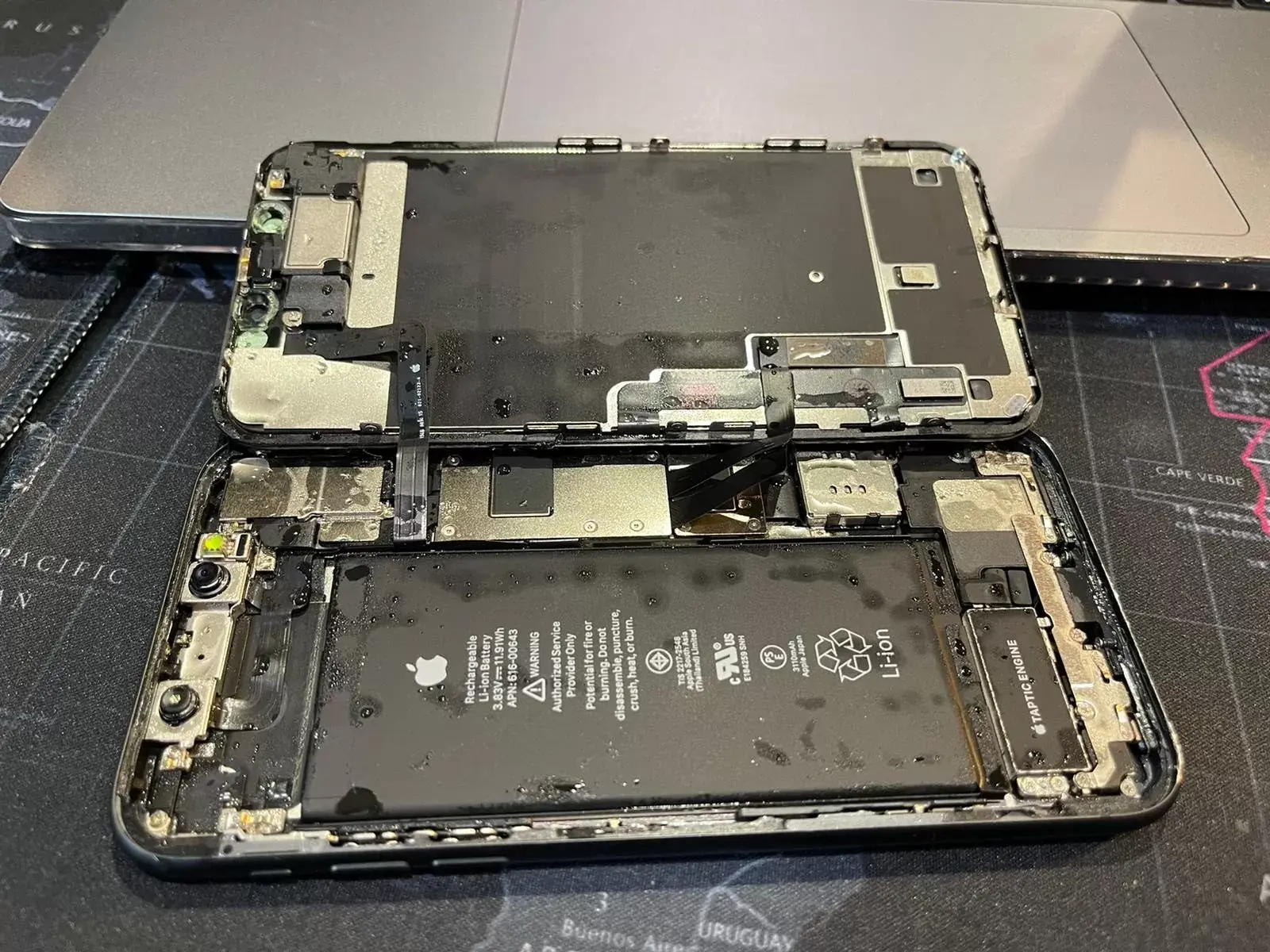 opened-iphone-smartphone-after-water-damage